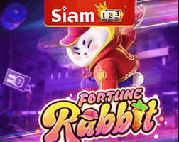 melhor horario fortune rabbit ícone