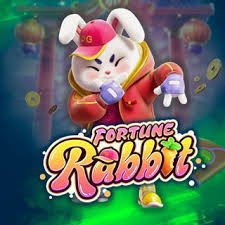 pg-nmga.com fortune rabbit ícone